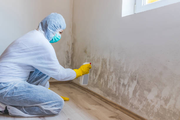 Licensed Mold Remediation service in Linden, NC - 24 Hour Mold Removal