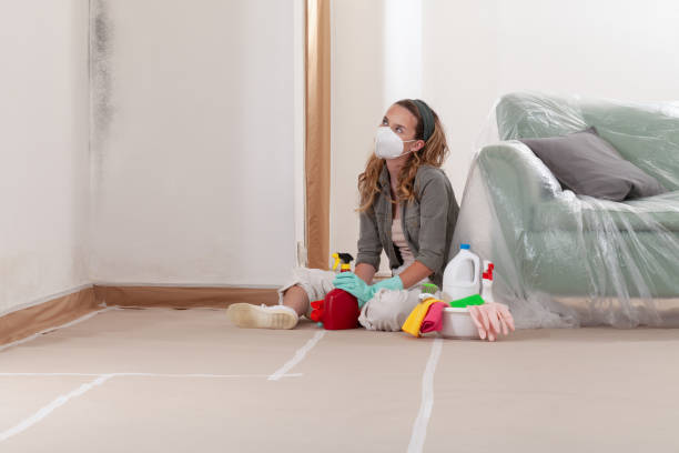 Reliable Mold Remediation contractor in Linden, NC by 24 Hour Mold Removal